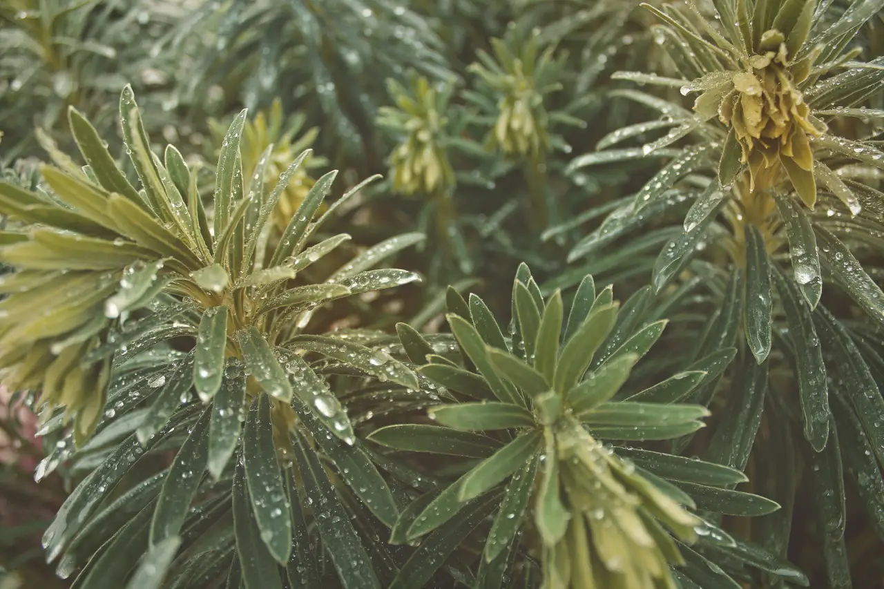 企业办公电脑配件选型指南：如何匹配性能与预算的平衡点