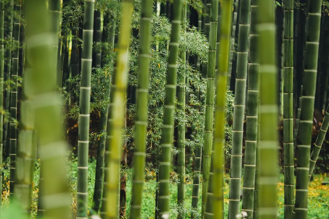 海南企业办公耗材采购新趋势：数码配件与电脑配件的选型要点解析