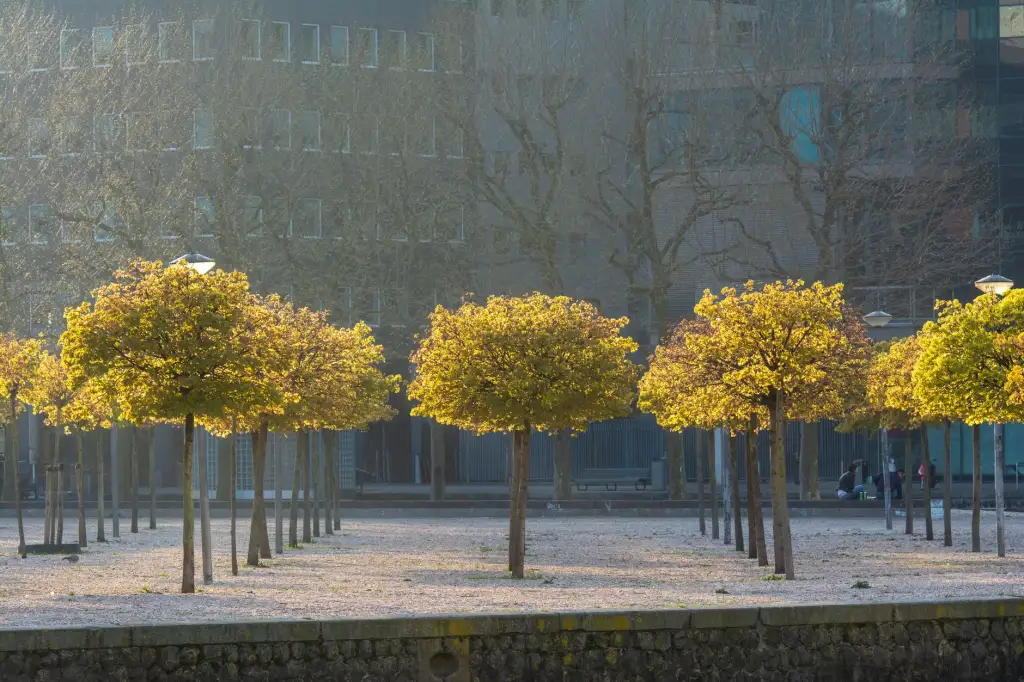 2024年数码配件市场价格趋势及海口本地采购建议